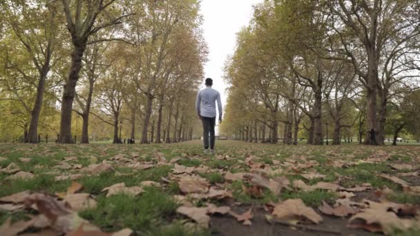 Man Walking Park Low Shot — Vídeo de stock