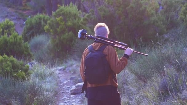 Person Walking Forest Slow Motion — Αρχείο Βίντεο