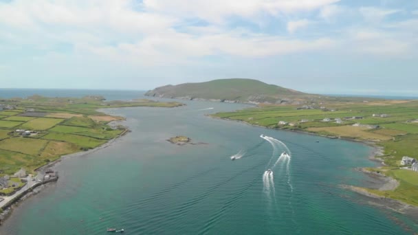 Boats Depart Harbor Leaving Long Curving White Trails Water Passing — Stok video