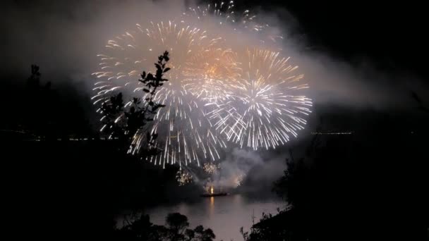 Huge Firework Show Sea — Stok Video