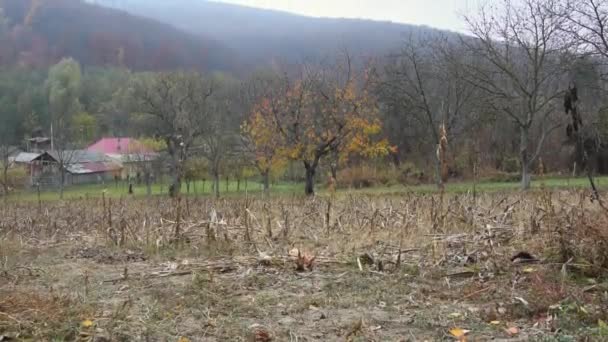Tilt Autumn Landscape Rural Area — Wideo stockowe