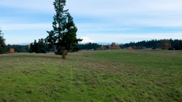 Beautiful Crisp Fall Day Washington State Ariel Footage Green Pasture — ストック動画