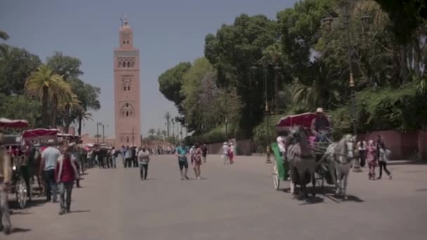 Carriage Passing View Koutoubia Mosque — Wideo stockowe