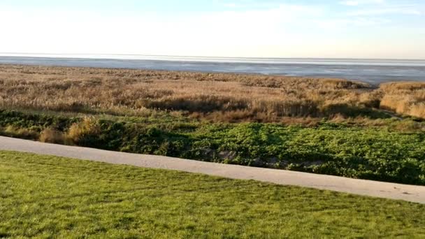 Panorama Left Right Dutch Dike Waddensea Netherlands Unesco World Herritage — Vídeos de Stock