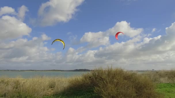 Kite Surfing Lessons People Training Lagoon Kite Surfing Sails Dune — стоковое видео