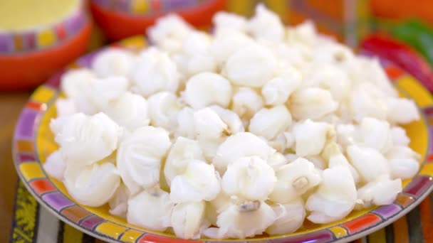 White Corn South America Background – stockvideo