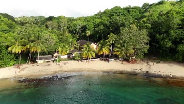 Drone Footage Arnos Vale Beach Trees Houses Background Located Caribbean — 비디오