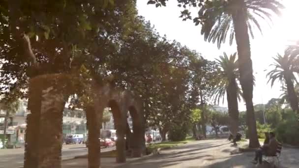 Garden Casablanca Tramway Passing — Vídeo de Stock