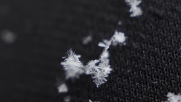 Макро Крупним Планом Сніжинки Приземлилися Чорні Штани Повільному Русі — стокове відео