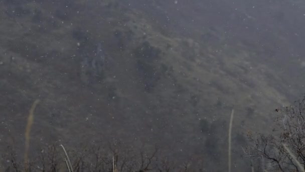Sne Falder Slowmotion Overskyet Efterårsdag Tør Kløft Beliggende Lindon – Stock-video