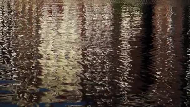 Row Houses Amsterdam Being Reflected Canal Waters — Stock Video