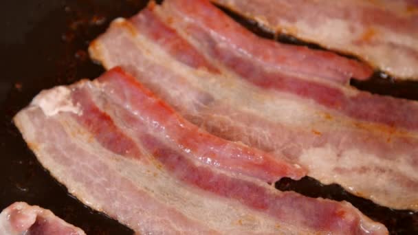 Bacon Cozinhar Uma Frigideira — Vídeo de Stock