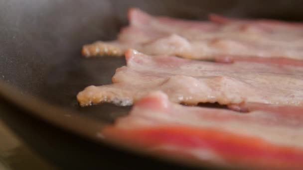 Bacon Friggente Padella — Video Stock