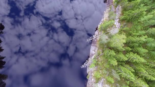 Breathtaking Drone Footage Calm Mirror Surface Forest Lake Hypnotizing Reflections — Stock videók