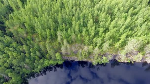 Aerial Drone Shot Boreal Forest Revealing Stunning Calm Lake Mirror — Stockvideo