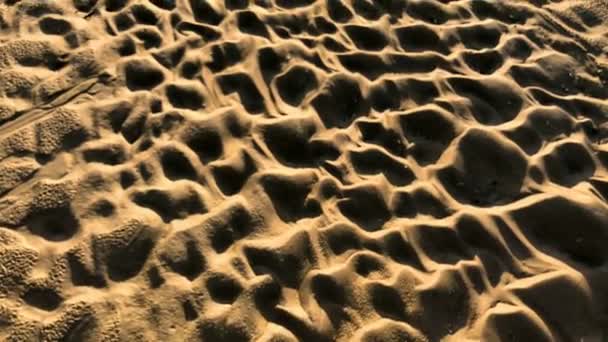 Patterns Sand Made Rippling Water Waves Seagulls 30Fps Slow Motion — Stock Video