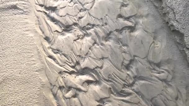 波打つ水 カモメから作られた砂のパターン4K 30Fps — ストック動画