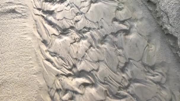 Patterns Sand Made Rippling Water Waves Seagulls 30Fps Slow Motion — Stock Video