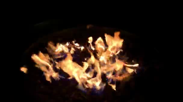 Fire Flicking Dancing View 30Fps — Stock Video