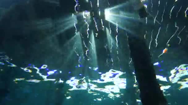 看着阳光冲破木制防波堤 照射在地面上 摄像头在防波堤下最后我们看到了一个潜水员 — 图库视频影像