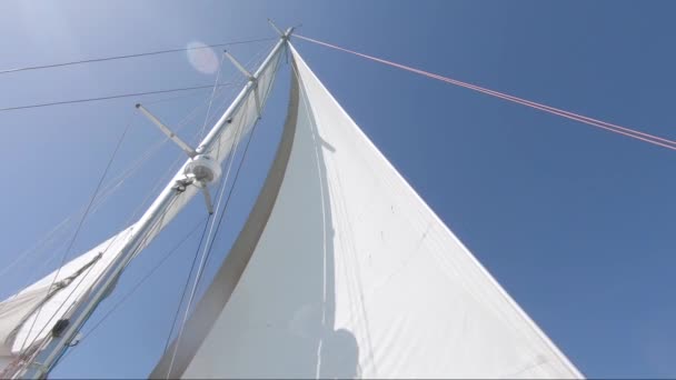 Looking White Sail Boat Clear Blue Sky Footage Slow Motion — Vídeo de stock