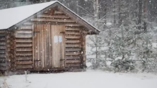 Cabin Lapland Snowfall — Stock video