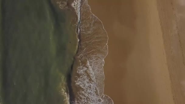 Aerial View Beach South Morocco — стоковое видео
