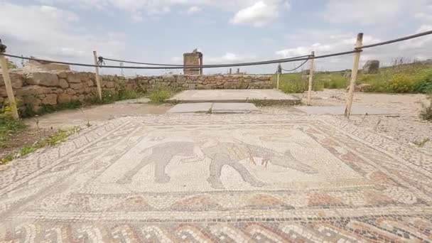 Engravures Ancient Greeks Old City Volubilis Morocco — стоковое видео