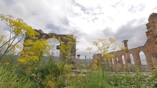 Volubilis Old City Built Ancient Greeks Morocco — Stok video