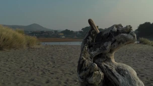 Sonoma County Coast Tide Pool Northern California — Stock video