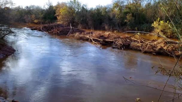 Wichita River Wichita Falls Texas Good Current Small Island — стокове відео