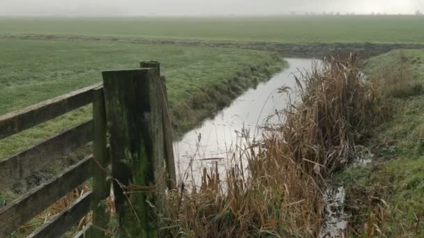 Steady Shot Ditch Netherlands Foggy Damp Weather Autumn — Video Stock