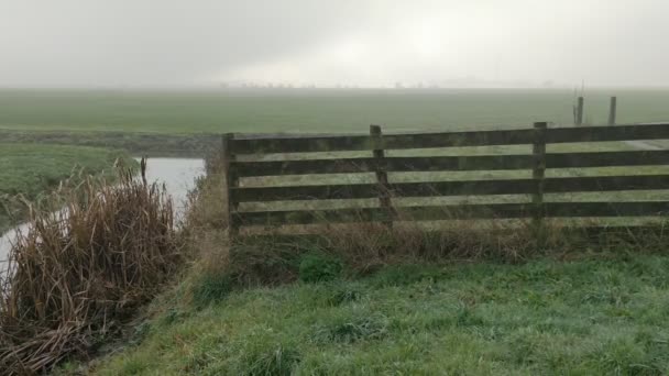Steady Shot Ditch Netherlands Foggy Damp Weather Autumn Small Pan — Stockvideo