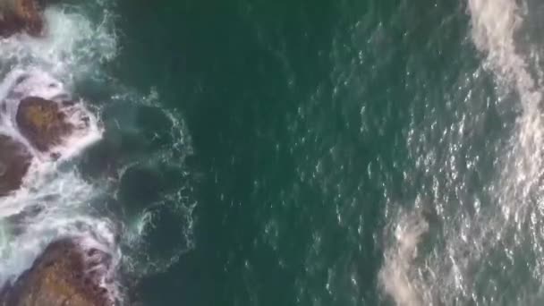 Aerial Birds Eye View Oregon Ocean Containing Seaweed Seafoam — стокове відео