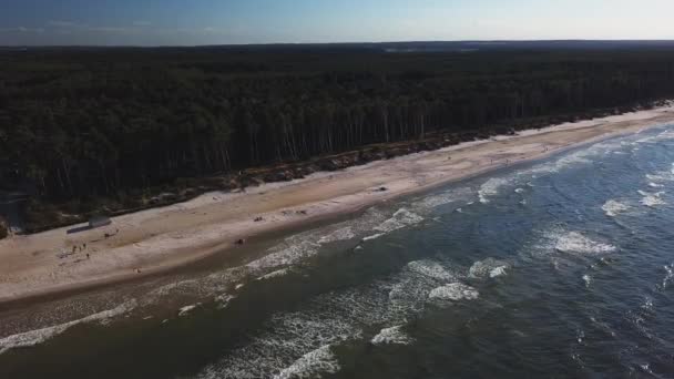 Drone Footage Sandy Beach Pine Forrest Sunny Day Baltic Sea — Stock Video