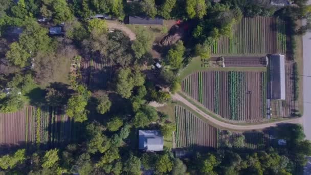 Aerial Rise Birds Eye View Working Farm Austin Texas Traffic — Vídeos de Stock