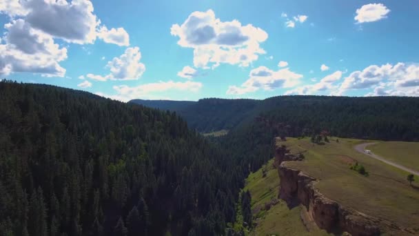 Aerial Large Truck Camper Drives Dirt Road Surrounded Evergreen Trees — Stockvideo