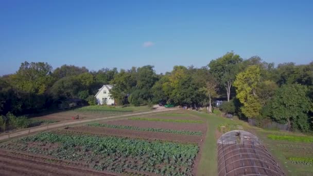 Aerial Fly Working Farm Austin Texas — Wideo stockowe