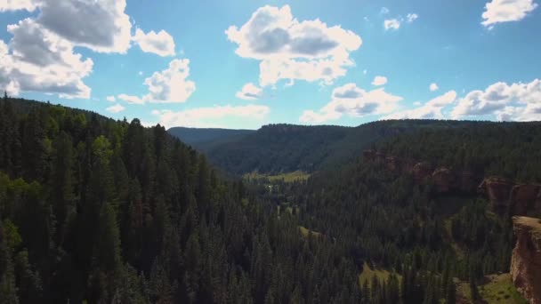 Aerial Drone Shot Pushing Deep Valley Filled Evergreen Trees — 图库视频影像