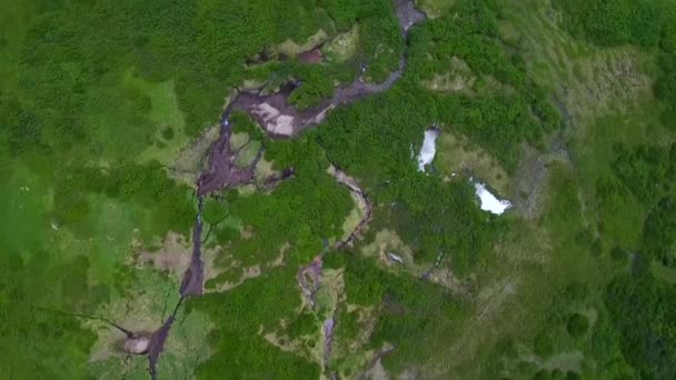 Aerial Beautiful Water Runs Colorado Mountain Valley — Αρχείο Βίντεο