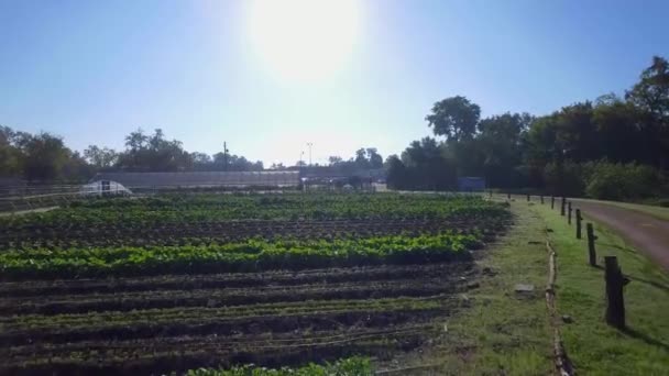 Aerial Flyover Local Farm Austin Texas — Stockvideo