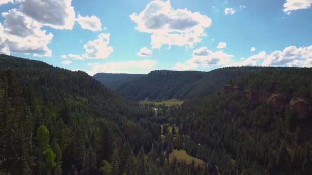 Aerial Slow Push Valley Evergreen Trees — Stockvideo