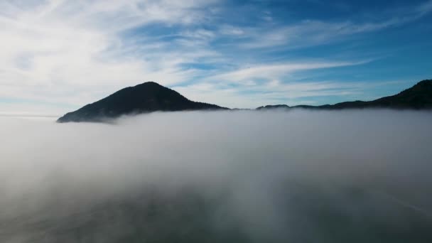 Aerial Ascending Floor Fog Reveal Mountain Oregon Coast — 图库视频影像