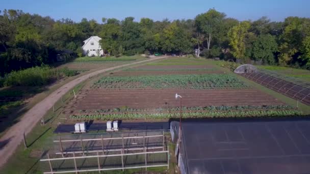 Aerial Pan Local Farm Austin Texas — Vídeos de Stock