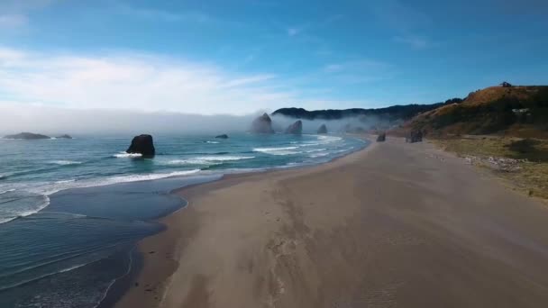 Aerial Flyover Oregon Beach Waves Crash Sand — 图库视频影像