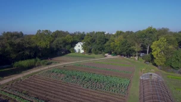 Aerial Fly Tilt Farm Austin Texas Austin Skyline Peaking Tree — ストック動画