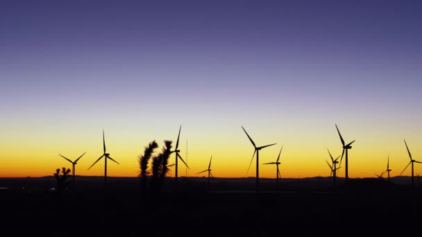 Windmills Sunrise Mojave Desert — Stock Video