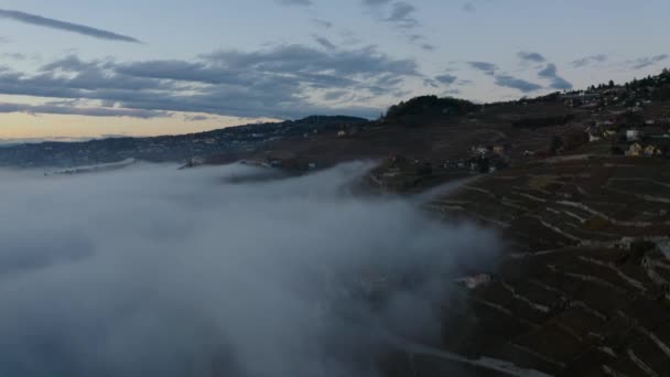 Aerial Fog Climbing Shore Lake Lman Lavauxvillette Lavaux Switzerland — Stok video