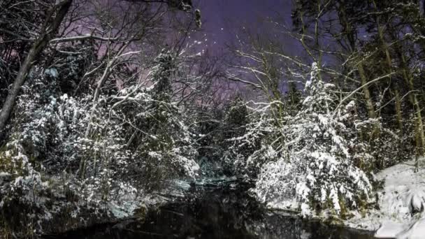 Calm Stream Flows Snow Dusted Trees Starry Night Sky — ストック動画