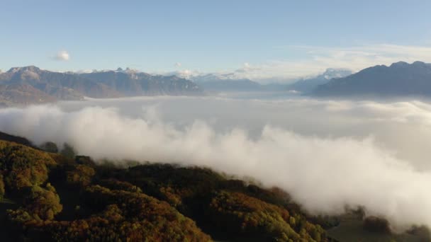 Overflying Patch Fog Climbing Forest Revealing Vevey Montreux Lake Lman — стоковое видео